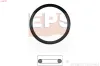 Dichtung, Thermostat EPS 1.890.753