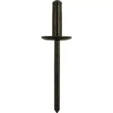 Blindniet KS TOOLS 420.1909