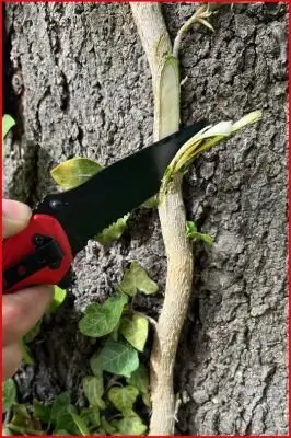 Klappmesser KS TOOLS 907.2220 Bild Klappmesser KS TOOLS 907.2220