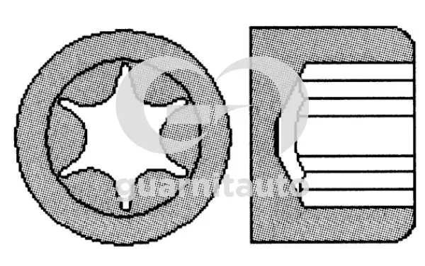 Zylinderkopfschraubensatz GUARNITAUTO 702507-1010