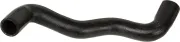 Kühlerschlauch RAPRO R12259