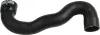 Ladeluftschlauch RAPRO R15343