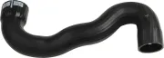 Ladeluftschlauch RAPRO R15343