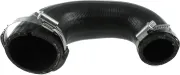 Ladeluftschlauch RAPRO R18334
