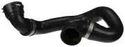 Kühlerschlauch RAPRO R19245
