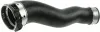 Ladeluftschlauch RAPRO R19352