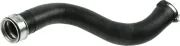 Ladeluftschlauch RAPRO R25385
