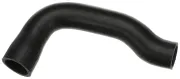 Kühlerschlauch unten RAPRO R28242