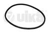 Keilriemen vika 10950589701