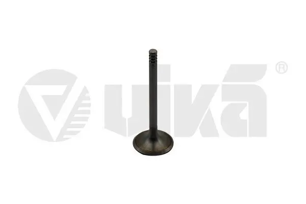 Einlassventil vika 11090176601