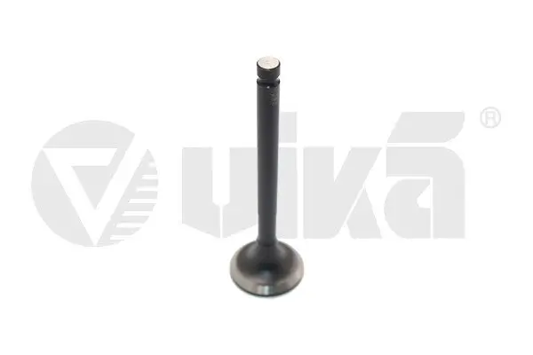 Auslassventil vika 11090216601