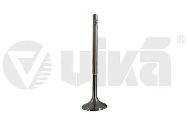 Einlassventil vika 11390501
