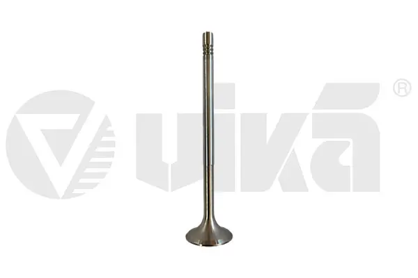 Einlassventil vika 11390601