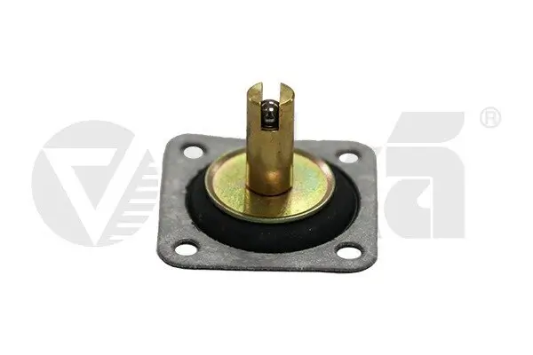 Membran, Vergaser vika 19400051801