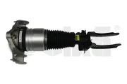 Luftfederbein vorne links vika 46160000501