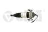 Luftfederbein hinten links vika 46160001101