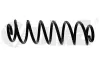 Fahrwerksfeder Hinterachse vika 55111605501