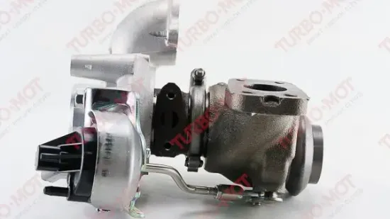 Lader, Aufladung TURBO-MOT 658313 Bild Lader, Aufladung TURBO-MOT 658313