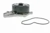 Wasserpumpe, Motorkühlung ACKOJA A26-50017 Bild Wasserpumpe, Motorkühlung ACKOJA A26-50017
