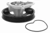 Wasserpumpe, Motorkühlung ACKOJA A26-50021 Bild Wasserpumpe, Motorkühlung ACKOJA A26-50021