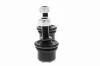 Stange/Strebe, Stabilisator Hinterachse ACKOJA A32-0004 Bild Stange/Strebe, Stabilisator Hinterachse ACKOJA A32-0004