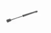 Gasfeder, Koffer-/Laderaum ACKOJA A32-0134 Bild Gasfeder, Koffer-/Laderaum ACKOJA A32-0134