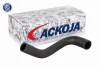 Kühlerschlauch oben ACKOJA A32-1602 Bild Kühlerschlauch oben ACKOJA A32-1602