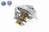 Thermostat, Kühlmittel ACKOJA A32-99-1701 Bild Thermostat, Kühlmittel ACKOJA A32-99-1701