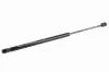Gasfeder, Koffer-/Laderaum ACKOJA A37-0063