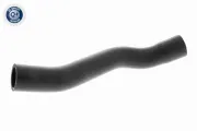 Kühlerschlauch unten ACKOJA A37-1601