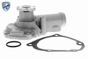 Wasserpumpe, Motorkühlung ACKOJA A37-50004