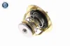 Thermostat, Kühlmittel ACKOJA A37-99-0010 Bild Thermostat, Kühlmittel ACKOJA A37-99-0010