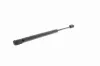 Gasfeder, Koffer-/Laderaum ACKOJA A38-0071 Bild Gasfeder, Koffer-/Laderaum ACKOJA A38-0071