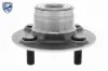 Radlagersatz Hinterachse ACKOJA A38-0087 Bild Radlagersatz Hinterachse ACKOJA A38-0087