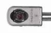Gasfeder, Koffer-/Laderaum ACKOJA A38-0126 Bild Gasfeder, Koffer-/Laderaum ACKOJA A38-0126