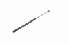 Gasfeder, Koffer-/Laderaum ACKOJA A38-0126 Bild Gasfeder, Koffer-/Laderaum ACKOJA A38-0126