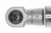 Gasfeder, Koffer-/Laderaum ACKOJA A38-0339 Bild Gasfeder, Koffer-/Laderaum ACKOJA A38-0339