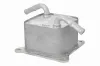 Ölkühler, Motoröl ACKOJA A38-60-0014 Bild Ölkühler, Motoröl ACKOJA A38-60-0014