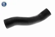 Ladeluftschlauch Ladeluftkühler unten ACKOJA A38-9605