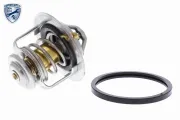 Thermostat, Kühlmittel ACKOJA A38-99-0003