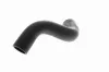Kühlerschlauch unten ACKOJA A51-1606 Bild Kühlerschlauch unten ACKOJA A51-1606