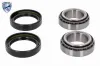 Radlagersatz ACKOJA A52-0053 Bild Radlagersatz ACKOJA A52-0053
