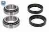 Radlagersatz ACKOJA A52-0053 Bild Radlagersatz ACKOJA A52-0053