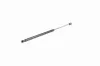 Gasfeder, Koffer-/Laderaum ACKOJA A52-0095 Bild Gasfeder, Koffer-/Laderaum ACKOJA A52-0095