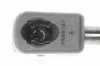 Gasfeder, Koffer-/Laderaum ACKOJA A52-0112 Bild Gasfeder, Koffer-/Laderaum ACKOJA A52-0112