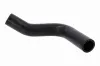 Kühlerschlauch oben ACKOJA A52-0872 Bild Kühlerschlauch oben ACKOJA A52-0872