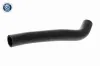 Kühlerschlauch oben ACKOJA A52-1601