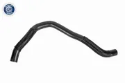 Kühlerschlauch oben ACKOJA A52-1607