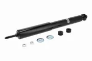 Stoßdämpfer Hinterachse links Hinterachse rechts ACKOJA A53-1530