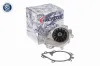 Wasserpumpe, Motorkühlung ACKOJA A53-50002 Bild Wasserpumpe, Motorkühlung ACKOJA A53-50002